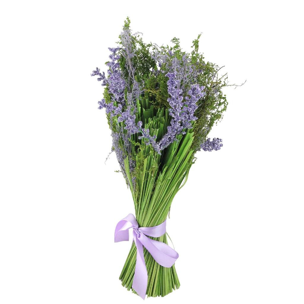 D220780S_1.jpg img